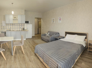 Serebro - studiya v tsentre u 130 Kvartala Apartments