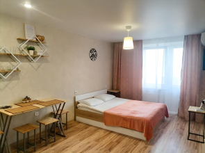 Апартаменты на Владислава Посадского 24