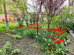 Апартаменты Комфортная Уютная 2-Комнатная Квартира в Центре с Парковкой