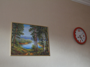 Отель Шер