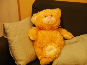 Хостел ROYAL HOSTEL 905