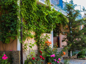 Shtorm Guest House