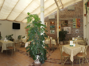 Отель Ирена