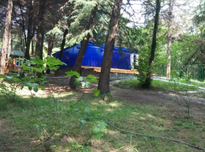 Отель Кипарисовая Усадьба