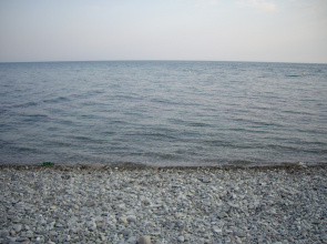 Зорька