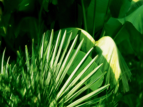 Гостевой Дом K&T