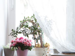 Хостел Baikal Story