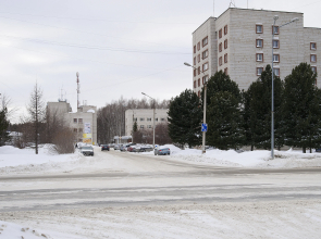 Отель Серый Лис