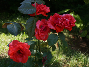 Гостевой Дом K&T