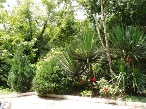 Гостевой Дом Чайка