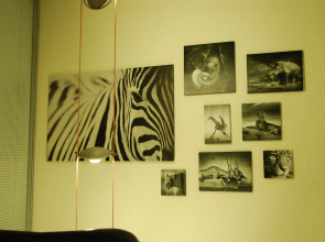 Хостел ROYAL HOSTEL 905