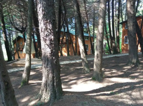 Отель Кипарисовая Усадьба