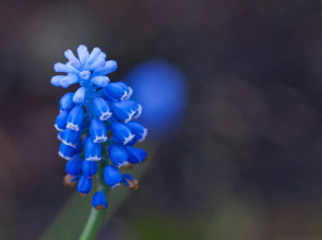 Мини-отель Sweethotel