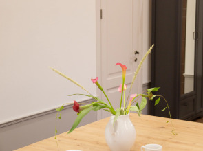 Мебелированные комнаты с Собственными Санузлами на Центральной Пешеходной Улице