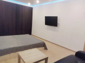 Svetlye Chistye Nedleko Ot Tsentra Apartments