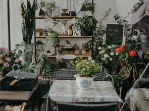 Квартира Старинный Дом с Двориком в Центре