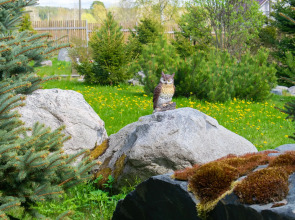 Гостевой дом на Берегу Ладоги