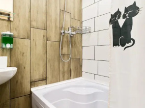 Квартира 2 Революционный проспект 25/12