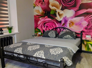 Апартаменты Квартира Студия у Замка