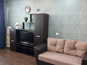 Квартира Апартаменты у Аэропорта Толмачево