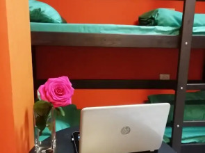 Хостел Вежливый лось на Савёловской