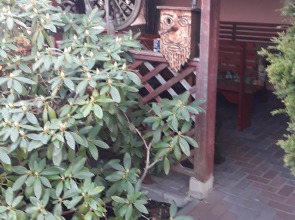 Гостевой дом на улице Татьянинская 10