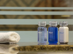 Отель International Iasi