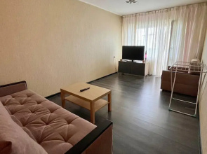 Apartamenty Odnuska v centre na Emel'anova