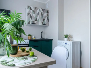 Квартира Зеленый сканди