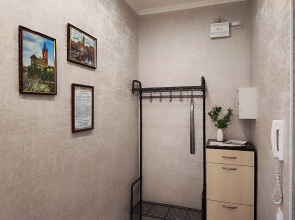 Апартаменты однокомнатная квартира на Фермора район "Сельма"