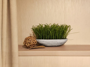 Апартаменты Life for Funny Rauschen