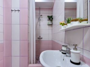 Апартаменты Romanna Home Каменный цветок