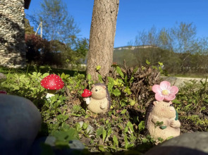 Thach from Travel Hotels Entourage