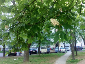 Апартаменты Метро Пушкинская