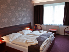 Hotel Vír