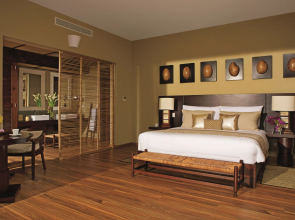 Zoetry Agua Punta Cana - All Inclusive