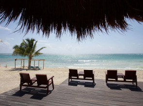 Отель Akumal Bay Beach and Wellness Resort