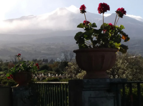 Giardino Arancio