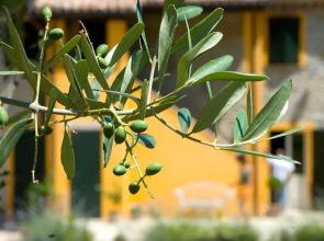 Country House Il Sassone