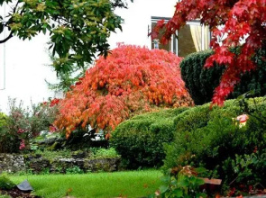 Cherry Garth Guest House