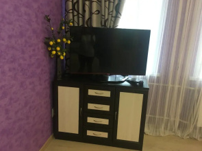 Apartamenty na Manezhnoy