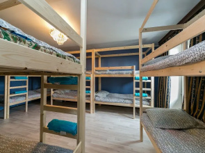 Crazy Monkey Hostel next to the Moscow Zoo