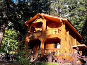 Guest House Lesogorie
