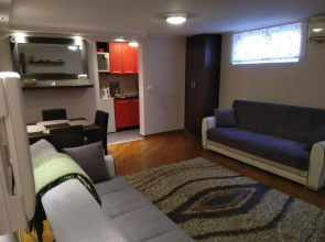 Apartment Dedinje