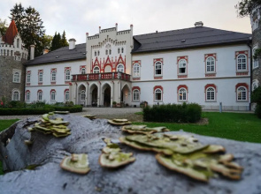 Chateau Třebešice