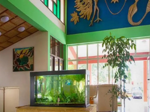 Hotel Las Yagrumas