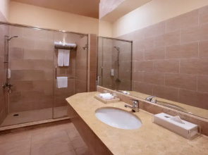 Отель JAZ Neo Saraya Palms