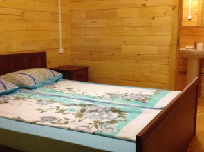 Guest House Vladimir Gagra