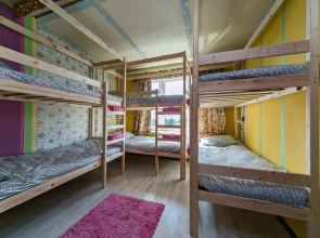 Crazy Monkey Hostel next to the Moscow Zoo
