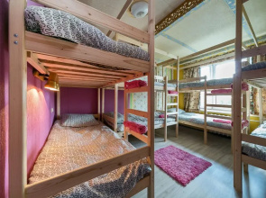 Crazy Monkey Hostel next to the Moscow Zoo